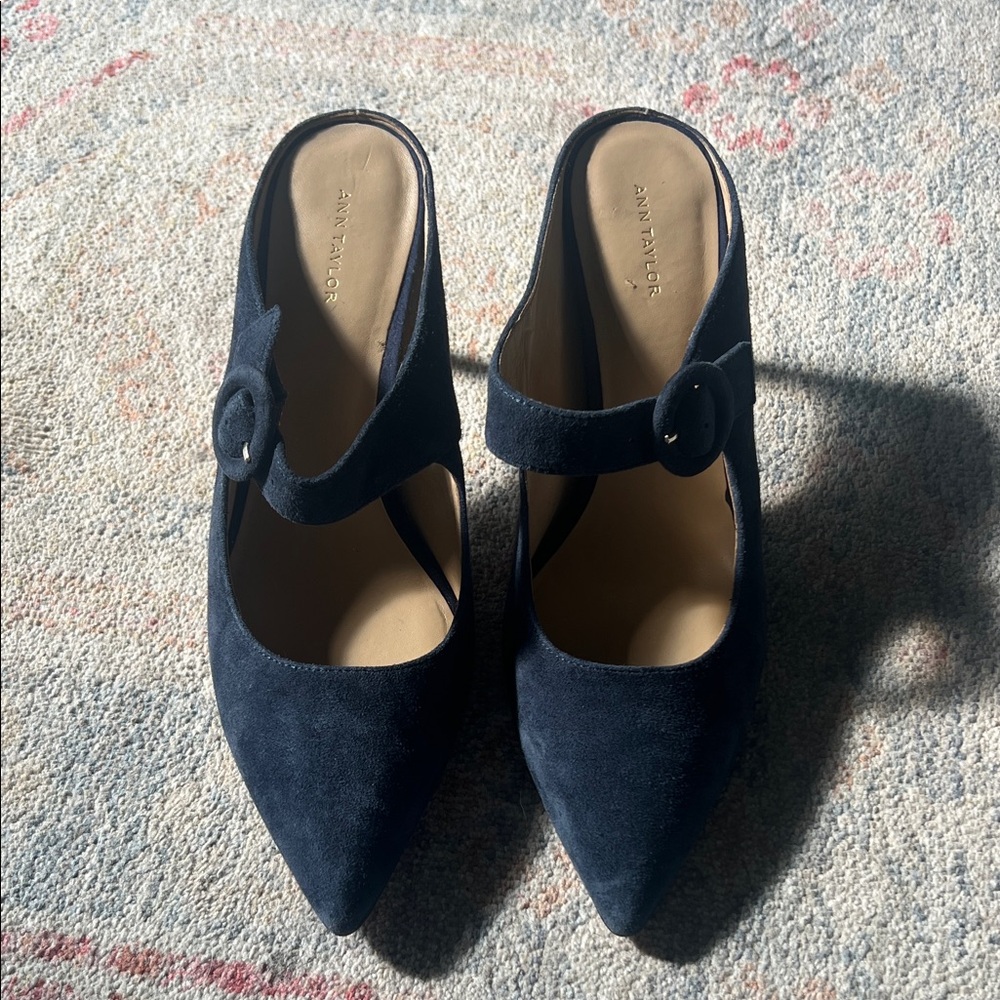 Ann Taylor Navy Suede Pointed Mary Jane Mules with Buckle